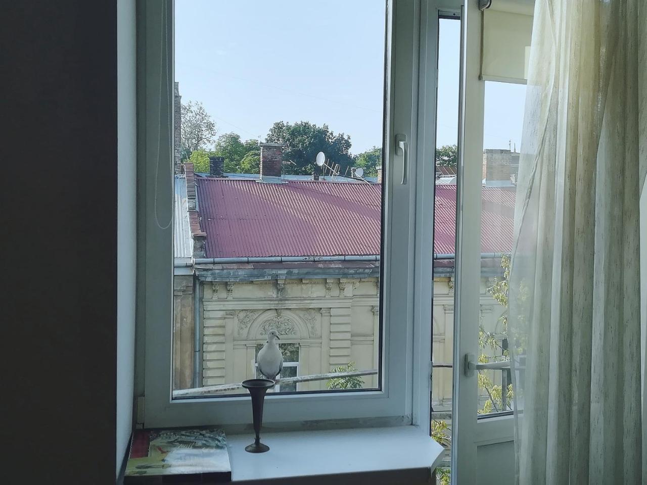 Valentine Apartment Lviv Exterior photo